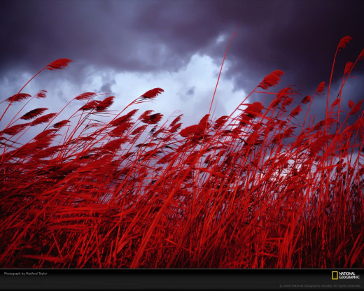 42123 (a): :1280x1024